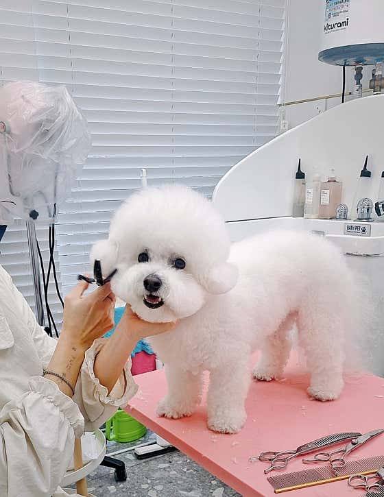 토비네살롱 · 네이버 지도·플레이스 2