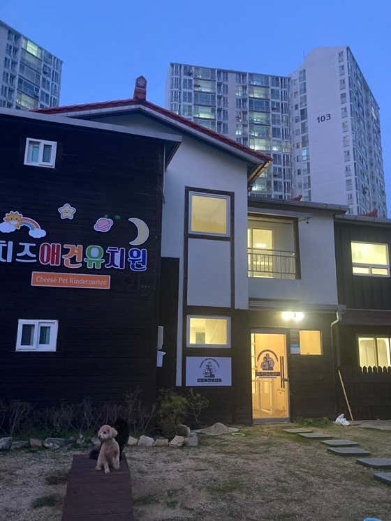 치즈 애견유치원&애견호텔 · 네이버 지도·플레이스 3