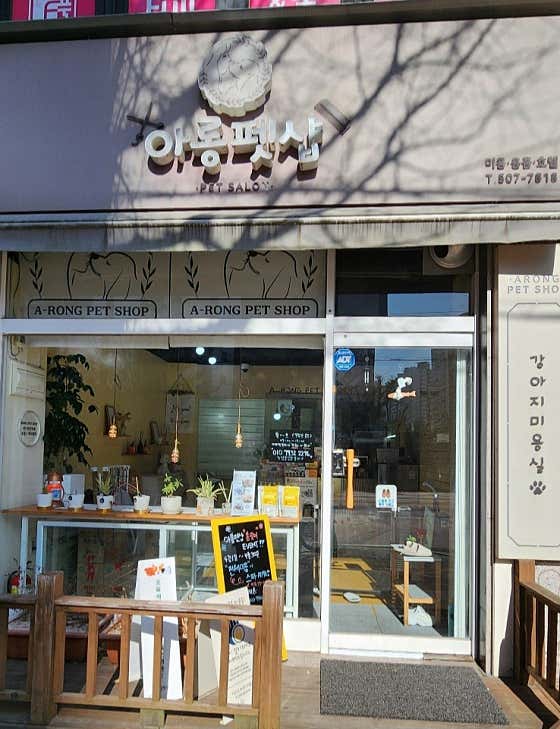 아롱펫샵 대표이미지