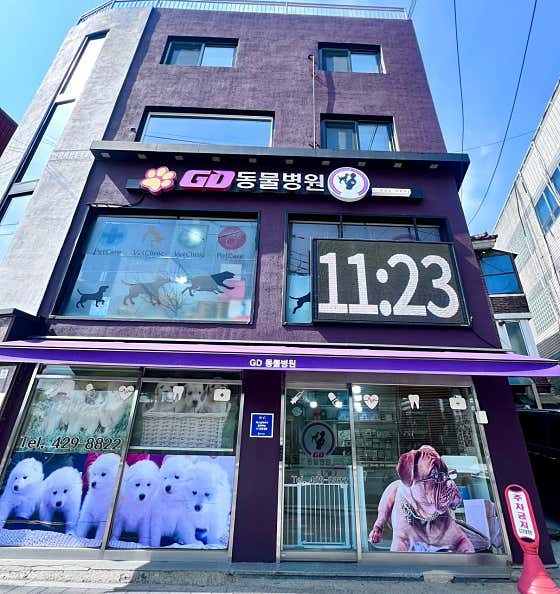 GD동물병원 대표이미지