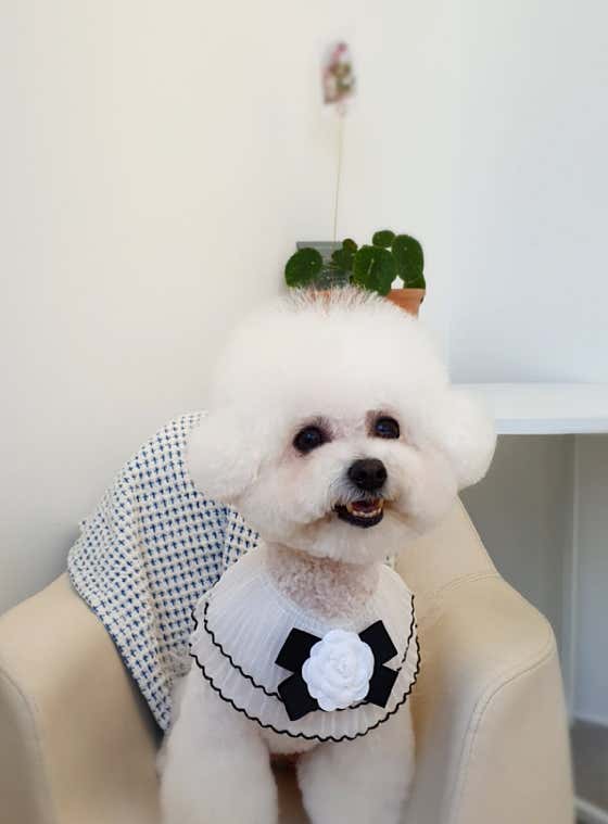 더 러블리