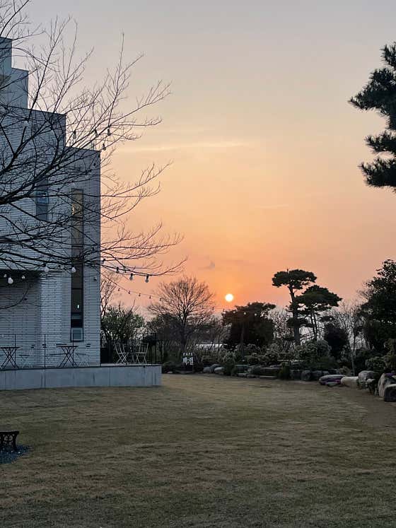 카페 백일 · 네이버 지도·플레이스 4