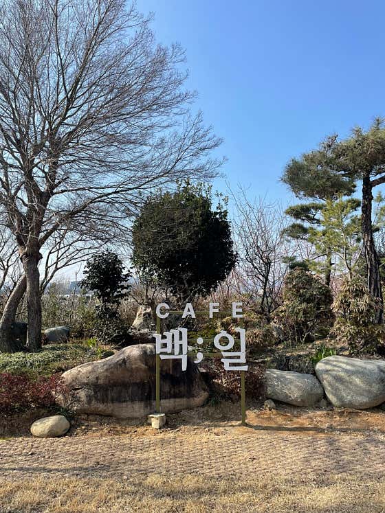 카페 백일 · 네이버 지도·플레이스 3