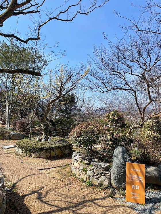 카페 백일 · 네이버 지도·플레이스 8
