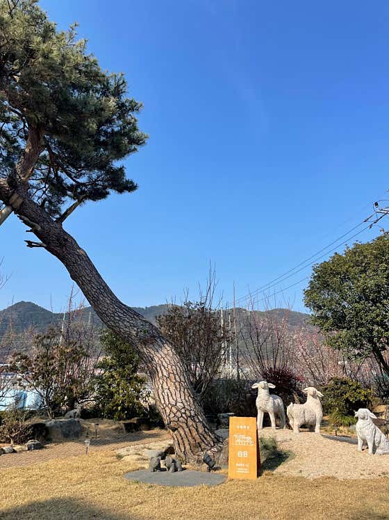 카페 백일 · 네이버 지도·플레이스 5