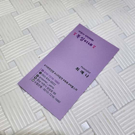 야옹아 멍멍해봐 복실이네 · 네이버 지도·플레이스 2