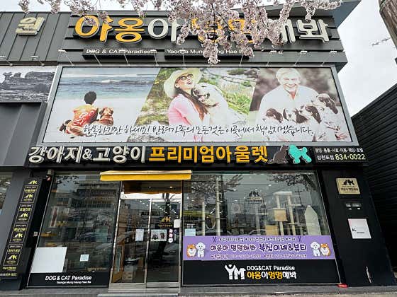 야옹아 멍멍해봐 복실이네 · 네이버 지도·플레이스 3