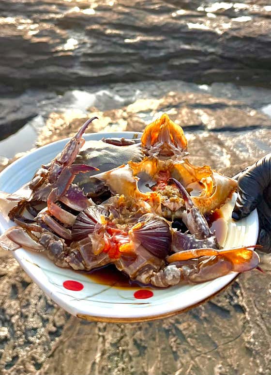 채석강맛집