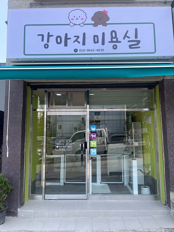강아지미용실