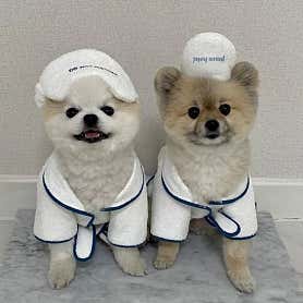 몽니드 · 네이버 지도·플레이스 5