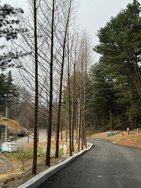 선택적고립캠핑장 사진