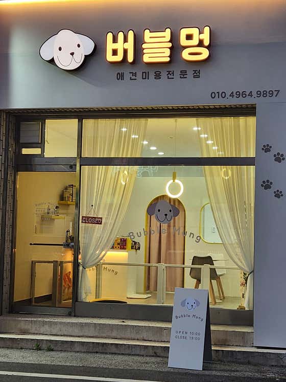 버블멍애견미용실 대표이미지
