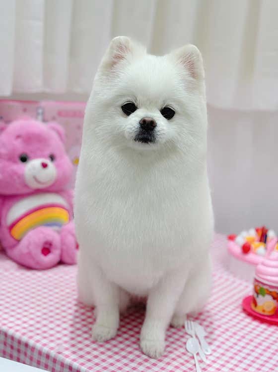 몽개몽개 · 네이버 지도·플레이스 9