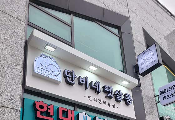 단비네펫살롱 · 네이버 지도·플레이스 4