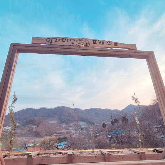 양지마을포레스트 · 네이버 지도·플레이스 6