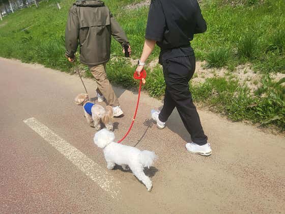 숲속에댕댕이 · 네이버 지도·플레이스 5
