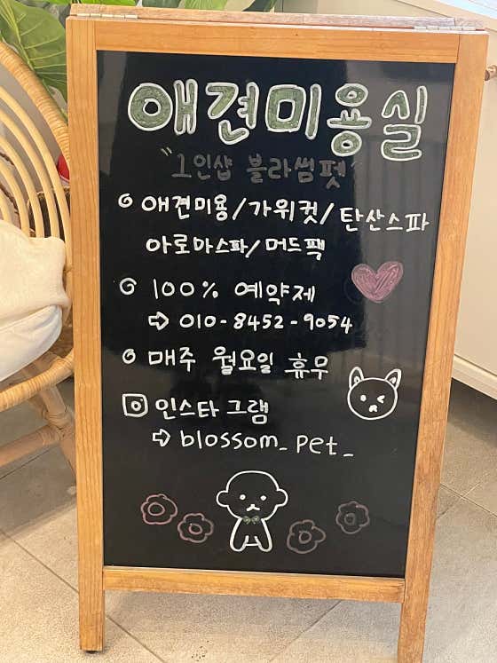블라썸펫 · 네이버 지도·플레이스 7