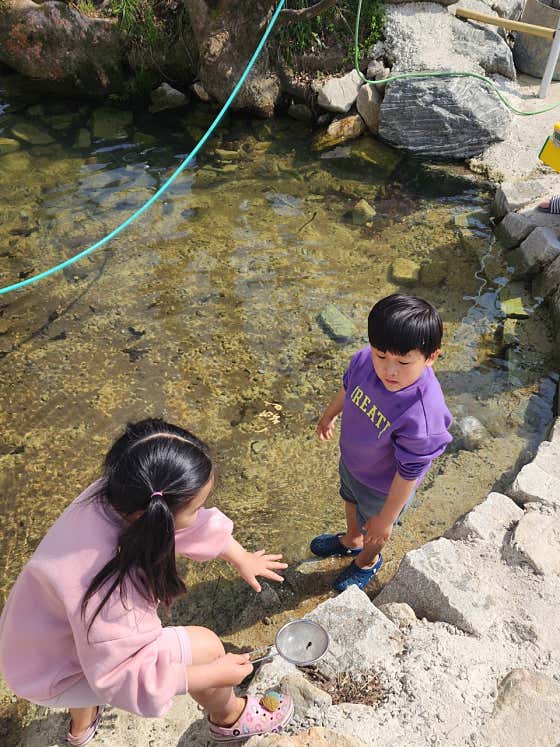5인 풀셋트 메뉴 사진(네이버)