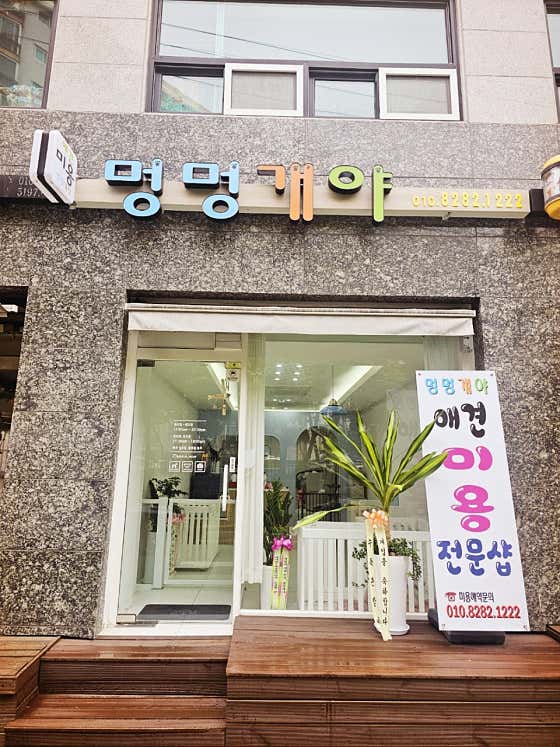 멍멍개야 · 네이버 지도·플레이스 7