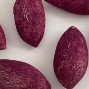 고구마빵 메뉴 사진(네이버)