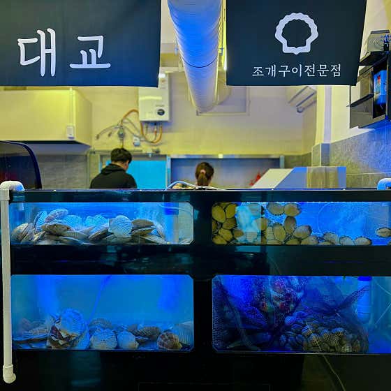 조개대교 대연점 · 네이버 지도·플레이스 3