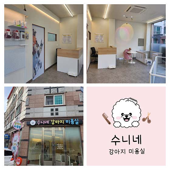 수니네 강아지 미용실
