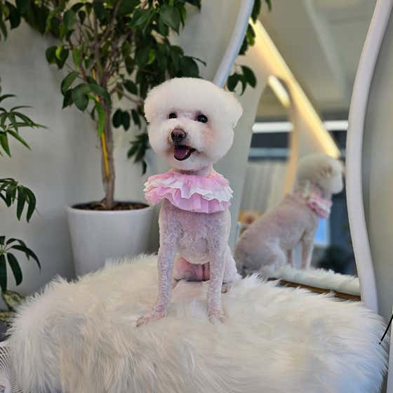 다듬 · 네이버 지도·플레이스 2