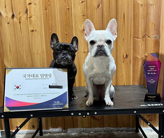 퍼스트 어질리티 그라운드 · 네이버 지도·플레이스 8