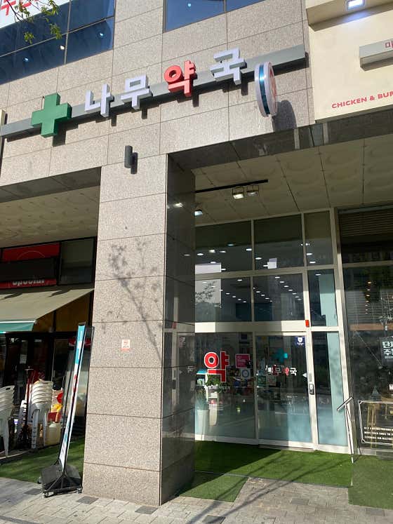 나무약국