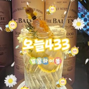 하이볼/ 칵테일 / 위스키 메뉴 사진(네이버)