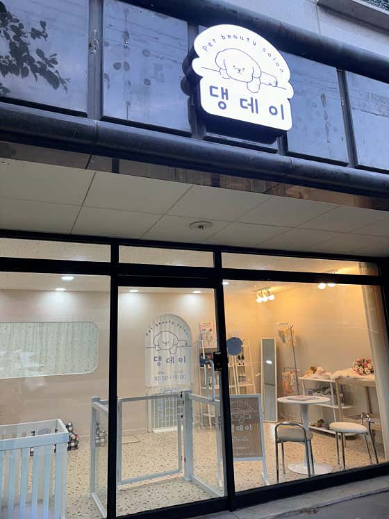 댕데이 · 네이버 지도·플레이스 2