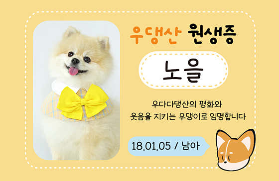 우다다댕산 애견유치원&호텔 대전점 · 네이버 지도·플레이스 2