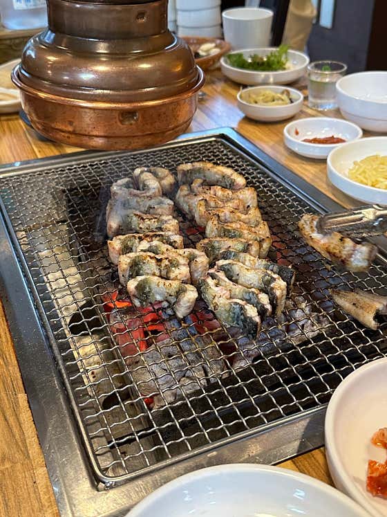 장어가