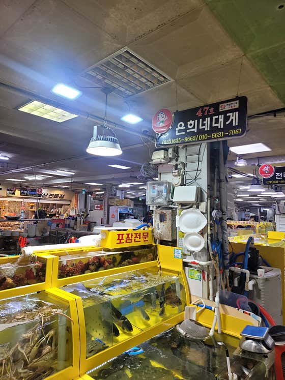 은희네대게회집