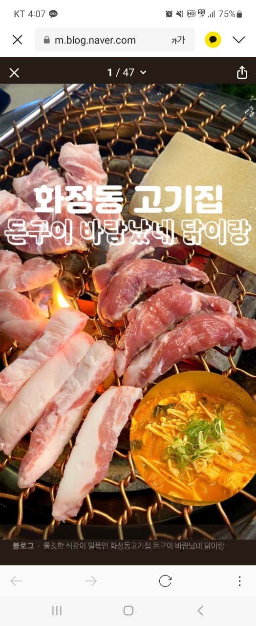 돈구이 바람났네 닭이랑