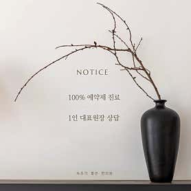 강원 속초 한의원 추천 top5 | 도수치료, 교통사고, 침, 다이어트, 추나 속초가좋은한의원