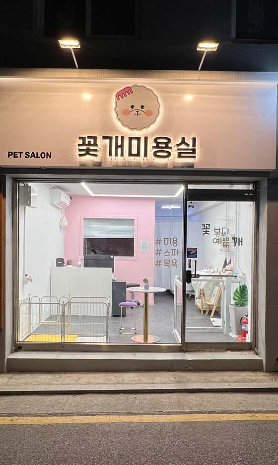 애견미용 꽃개미용실 · 네이버 지도·플레이스 2