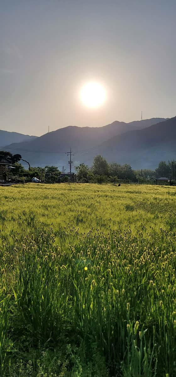 카페보리 · 네이버 지도·플레이스 2