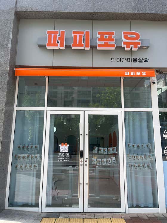 퍼피포유 · 네이버 지도·플레이스 2
