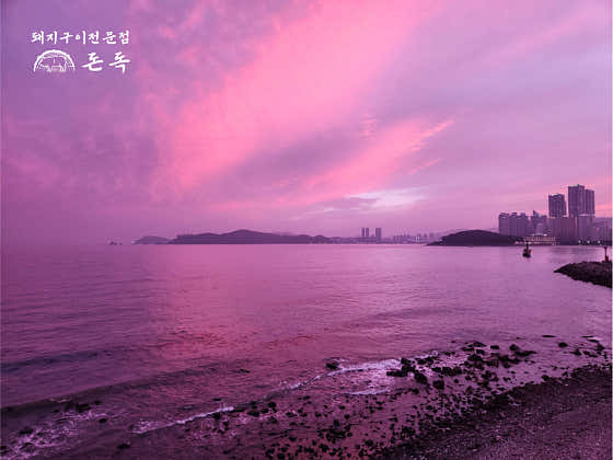돈독 · 네이버 지도·플레이스 8