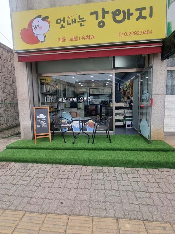 멋내는 강아지 대표이미지