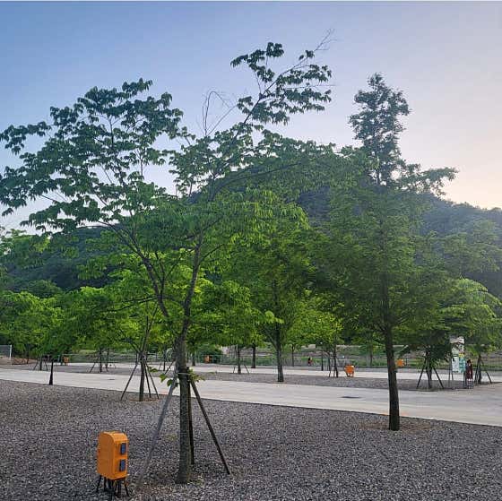가족캠핑장 · 네이버 지도·플레이스 3