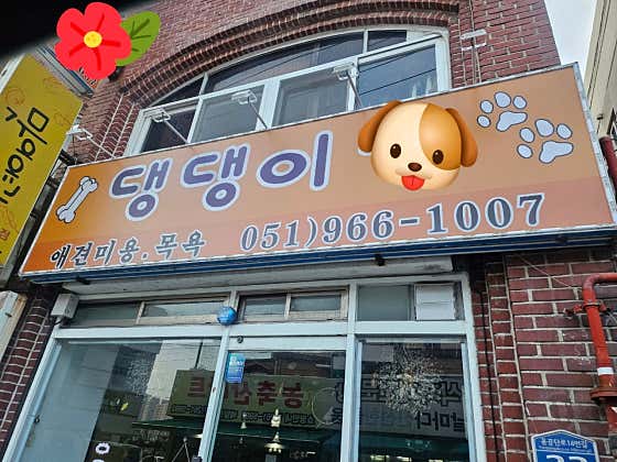 댕댕이미용
