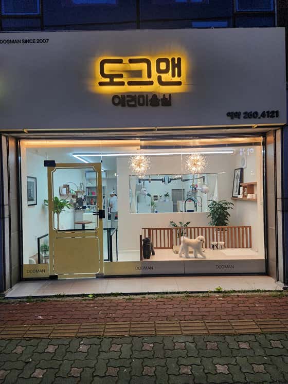 도그맨 · 네이버 지도·플레이스 5