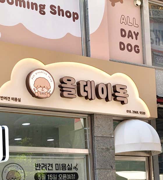 올데이독 · 네이버 지도·플레이스 3