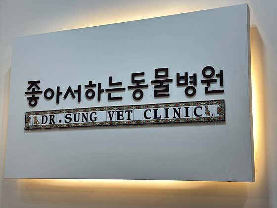 좋아서하는동물병원 대표이미지