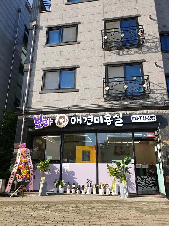 보라애견미용실 · 네이버 지도·플레이스 2