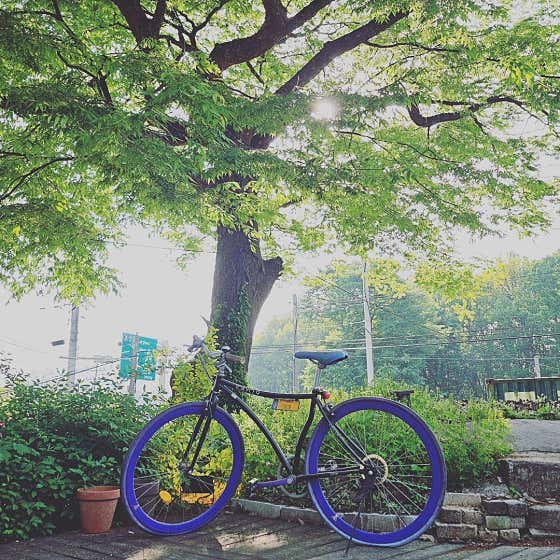 느티나무 한방민물장어 · 네이버 지도·플레이스 2