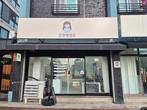 호빵펫살롱