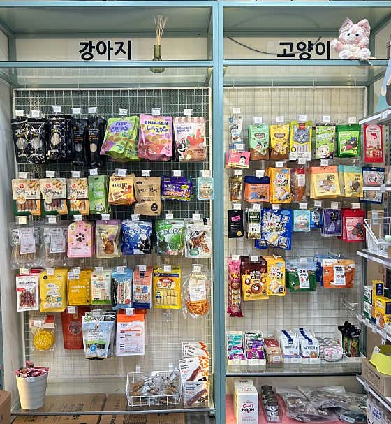 오개냥 슈퍼